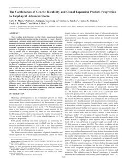 The Combination of Genetic Instability and