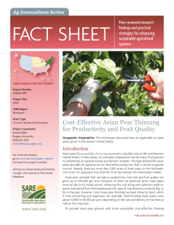 Cost-Effective Asian Pear Thinning for Productivity and Fruit Quality