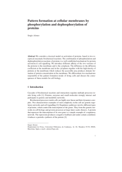 Pattern formation at cellular membranes by