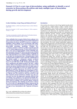 Fucose&beta;-1-P-Ser is a new type of glycosylation