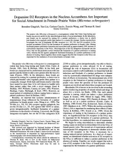 Dopamine D2 Receptors in the Nucleus Accumbens Are Important