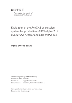 Evaluation of the Pm/XylS expression system for production