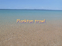Plankton Trawl