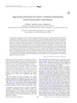 Egg-laying behaviour by shiny cowbirds parasitizing brown