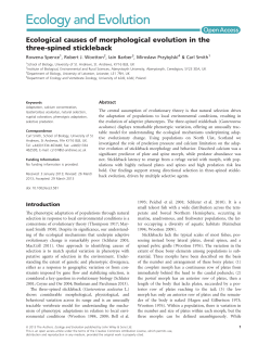 Ecological causes of morphological evolution in the threespined