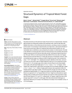 Structural Dynamics of Tropical Moist Forest Gaps