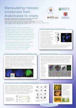 Manipulating meiosis: crossovers from