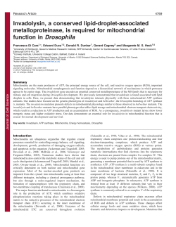 Invadolysin, a conserved lipid-droplet
