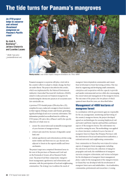 The tide turns for Panama`s mangroves