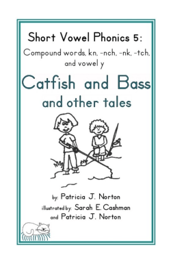 Short Vowel Phonics Book 5