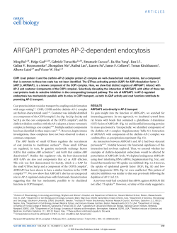 ARFGAP1 promotes AP-2-dependent endocytosis