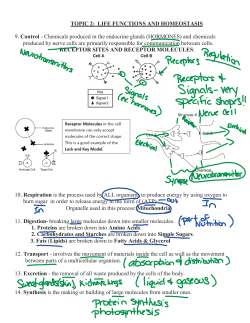 TOPIC 2: LIFE FUNCTIONS AND HOMEOSTASIS 9. Control