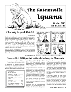 The Gainesville Iguana