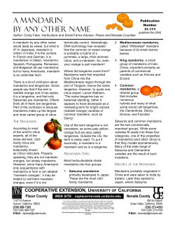 A Mandarin by Any Other Name #31-111