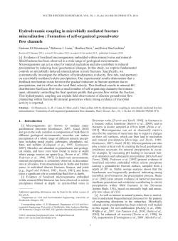Hydrodynamic coupling in microbially mediated fracture