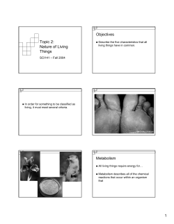 Topic 2: Nature of Living Things