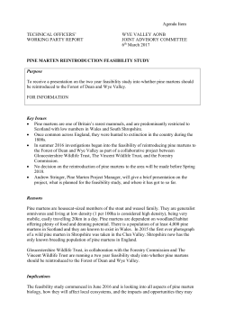 Pine marten reintroduction feasibility study and a presentation by