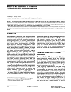 Theory of the locomotion of nematodes