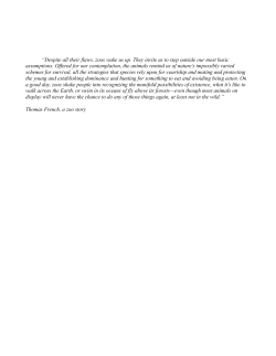 Despite all their flaws, zoos wake us up. They invite us to