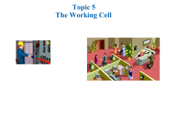 Topic 5 The Working Cell