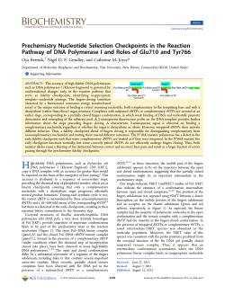 Prechemistry Nucleotide Selection Checkpoints in the Reaction