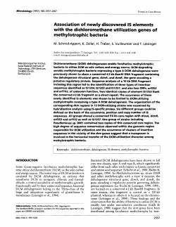 Association of newly discovered IS elements with the