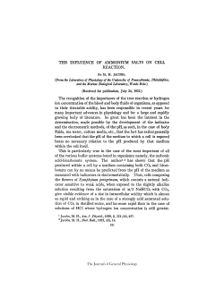 THE INFLUENCE OF AMMONIUM SALTS ON