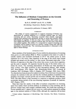 The Influence of Medium Composition on the Growth