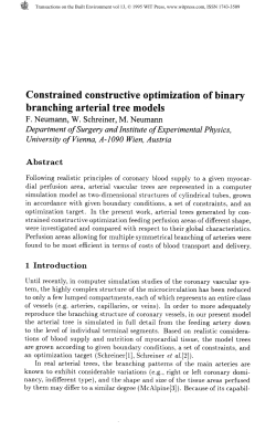 Constrained constructive optimization of binary branching arterial