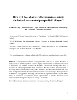 How well does cholesteryl hemisuccinate mimic cholesterol in