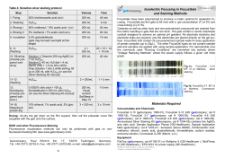 P-1006-01-09 Focus Stain and Run