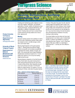 Mowing, Dethatching, Aerifying and Rolling Turf