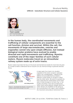 In the human body, the coordinated movements and trafficking of