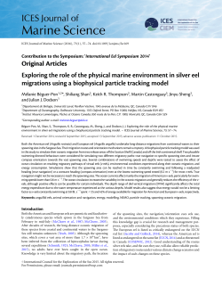 Exploring the role of the physical marine environment in silver eel