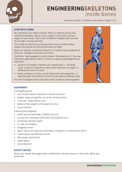 EnginEEringskElEtons Inside Bones