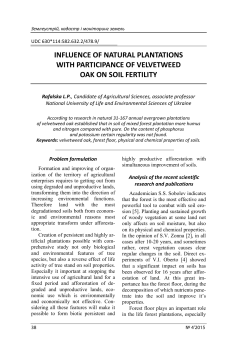 influence of natural plantations with participance of velvetweed oak