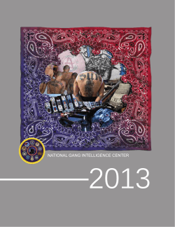 national gang intelligence center