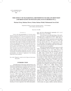the effect of mangroves amendments to soil on root rot and root knot