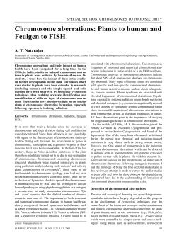 Chromosome aberrations: Plants to human and Feulgen to FISH