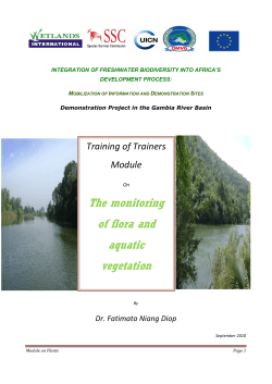 The monitoring of flora and aquatic vegetation