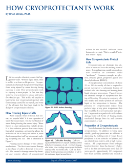 How cryoprotectants work
