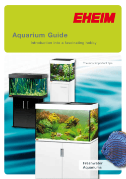 Aquarium Guide