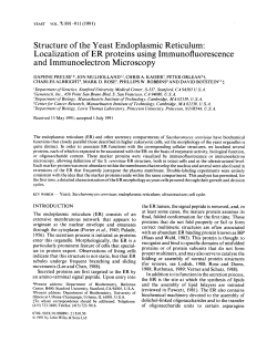 Structure of the yeast endoplasmic reticulum: Localization of ER