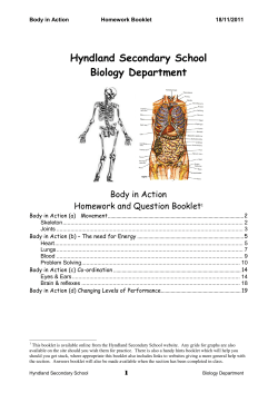 Body in Action - Hyndland Secondary School