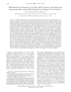 NMR structure and dynamics of an RNA motif common to