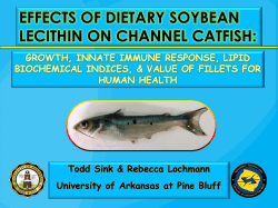 effects of dietary soybean lecithin on channel catfish