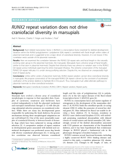 RUNX2 repeat variation does not drive craniofacial diversity in