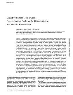 Digestive System Membranes: Freeze