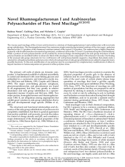 Novel Rhamnogalacturonan I and Arabinoxylan Polysaccharides of
