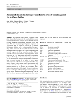 Arsenal of elevated defense proteins fails to protect tomato against
